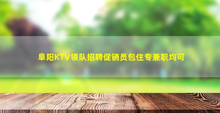阜阳KTV领队招聘促销员包住专兼职均可